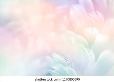 Abstract feather rainbow patchwork background. Closeup image of white fluffy feather under colorful pastel neon foggy mist. Fashion Color Trends Spring Summer 2019 - soft focus. - Shutterstock ID 1170800890