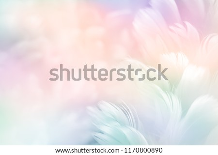 Abstract feather rainbow patchwork background. Closeup image of white fluffy feather under colorful pastel neon foggy mist. Fashion Color Trends Spring Summer 2019 - soft focus.