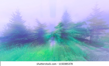 An abstract filtered psychedelic forest scene.