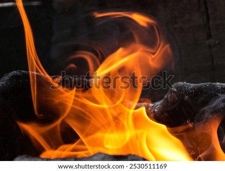 Similar – Image, Stock Photo Preparation of meal on a fire