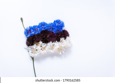 Abstract flag of Estonia made of cornflower flowers with white background. Happy independence day of Estonia. Flag background. Close-up. Soft focus. 