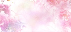 Abstrakter Floraler Hintergrund Rosafarbener Blumen Auf Pastellfarbenen Farben Mit Weichem Stil Für Frühling Oder Sommer. Bannerhintergrund Mit Kopienraum.