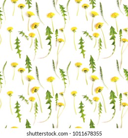 Abstract Floral Background. Seamless Pattern From Plants, Yellow Wild Flowers Dandelion, Isolated On White Background, Flat Lay, Top View. The Concept Of Summer, Spring, Mother's Day, March 8. 