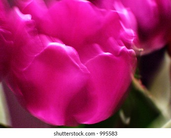 abstract Flower