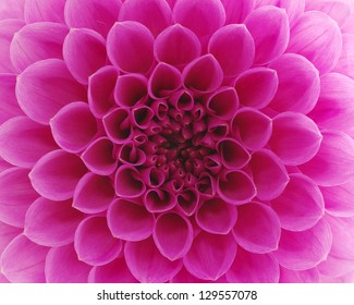 Abstract flower and beautiful petals