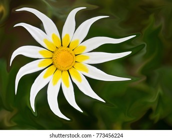 abstract flowers background