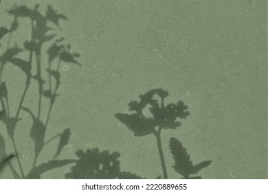 Abstract flowers shadows on gray green concrete wall texture with roughness and irregularities. Abstract trendy nature concept background. Copy space for text overlay, poster mockup flat lay  - Shutterstock ID 2220889655