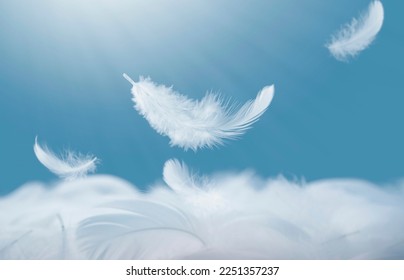 Abstract fluffy white feathers fell on the pile of feathers. Falling swan feather  - Shutterstock ID 2251357237