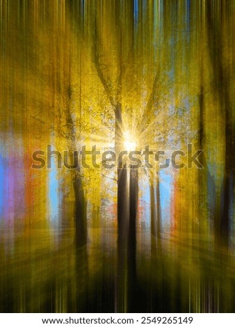 Abstract forest background made with ICM (Intentional Camera Movement). Shot of a forest in Autumn, creating a nice brush like image, sunburst, beautiful backdrop
