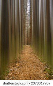 Abstract forest scene with a path through motion blurred trees