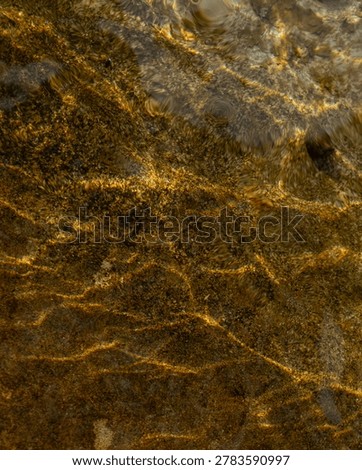 Abstract golden light patterns on shallow coastal water with textured underwater rocks and flowing reflections, creating a luxurious natural background.