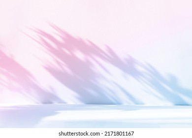 Abstract gradient blue studio background for product presentation. Empty room with shadows of window and flowers and palm leaves . 3d room with copy space. Summer concert. Blurred backdrop.