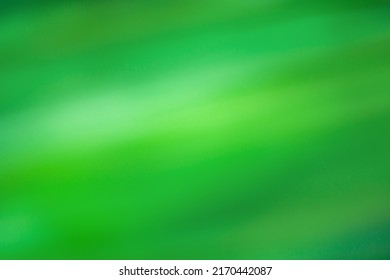 Abstract gradient green blurred colorful background  Vibrant green gradient colors blur surrealism background 

