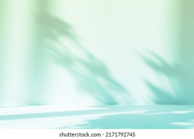 Abstract gradient green studio background for product presentation. Empty room with shadows of window and flowers and palm leaves . 3d room with copy space. Summer concert. Blurred backdrop.