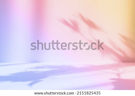 Abstract gradient pink studio background for product presentation. Empty room with shadows of window and flowers and palm leaves . 3d room with copy space. Summer concert. Blurred backdrop.