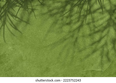 Abstract grass leaves shadows on olive green concrete wall texture with roughness and irregularities. Abstract trendy nature concept background. Copy space for text overlay, poster mockup flat lay  Foto Stok