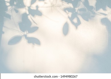 Abstract gray shadow background of natural leaves tree branch falling on white wall texture for background and wallpaper, black and white,  nature shadow pattern art on wall