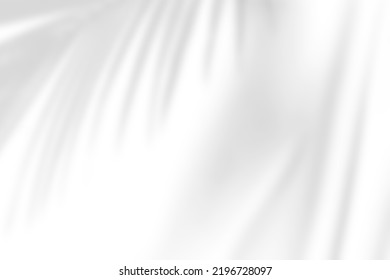 Abstract gray shadow background of natural palm leaves falling on white concrete wall texture with cracked line for background and wallpaper, black and white monochrome tone. - Shutterstock ID 2196728097