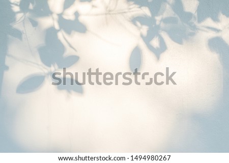 Abstract gray shadow background of natural leaves tree branch falling on white wall texture for background and wallpaper, black and white,  nature shadow pattern art on wall
