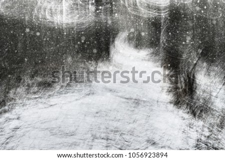 Similar – beech forest Snow Snowfall