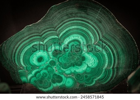 Abstract green background with circles and waves. Malachite stone wallpaper. Polished gemstone texture