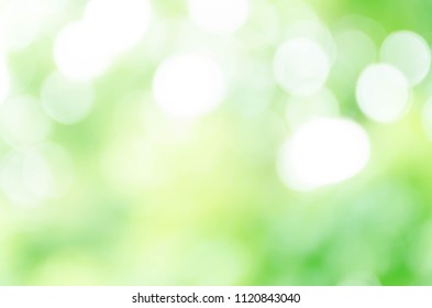 Abstract Green Bokeh Background