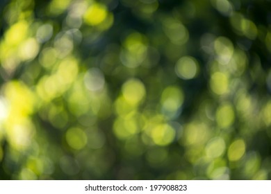 Abstract green bokeh background