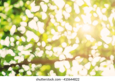 Abstract green Bokeh background with sunlight