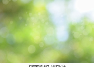 Abstract Green Bokeh Nature Background. Circle Bokeh With Light  Blur Background
