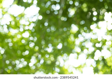 Abstract green bright bokeh Space background Magic concept Light effect

