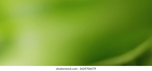 Abstract green gradient background texture