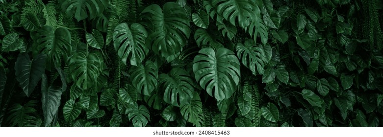 abstract green leaf texture, tropical leaf foliage nature dark green background - Powered by Shutterstock