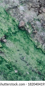 Abstract Green Natural Spring with a Dark Grey Rocky Edge