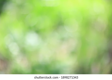 Abstract Green Summer Bokeh Background, Gradient View Art Texture Glow