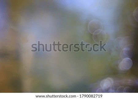 Similar – Image, Stock Photo A little flower. Nature