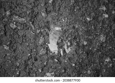 Abstract grey bubbles background.Reflection person. Tiny person in the big world. Black and white photography