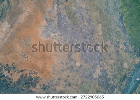 Abstract ground texture with mud runoff and dry grass, geological erosion background, aerial drone shot top view, alluvial fan and dendritic pattern