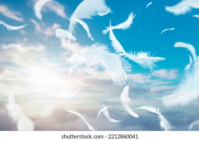 Abstract Group of White Bird Feathers Flying in The Sky with Clouds. Lightly of Feathers Floating in Dreaming Heavenly. - Shutterstock ID 2212860041