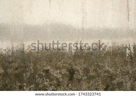 Similar – Image, Stock Photo discolorated forest Nature