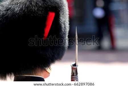 Abstract guardsman