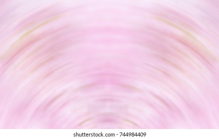 Abstract Half Of Circle Fram Of Blurred Pink Full Bloom Sakura (cherry Blossom)