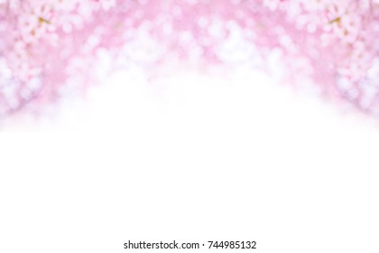 Abstract Half Of Circle Fram Of Blurred Pink Full Bloom Sakura (cherry Blossom)