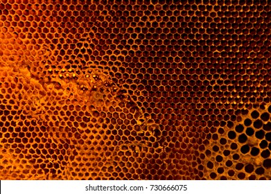 Abstract Honeycomb Pattern Surface Design Textures Background Unique Beautiful Nature 