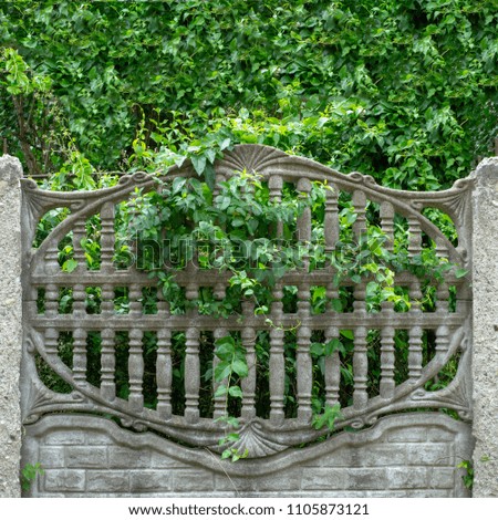 Image, Stock Photo Secret garden Calm