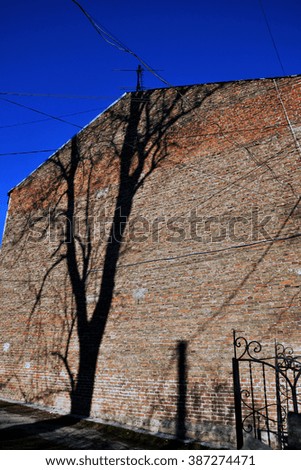 Similar – Image, Stock Photo Wittenberg No.444