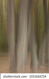 An abstract image of grey tree trunks against green foliage creates an etherial look.