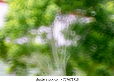 Abstract image of light between tree and natural light, bokeh, light blur and spherical image.