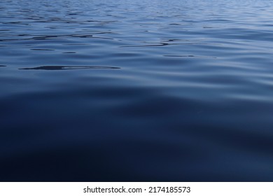 Abstract Image Of Navy Blue Sea Surface With Soft And Reflect Wave, Free Space For Text