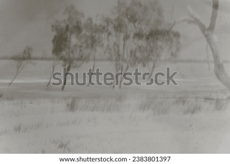 Similar – Image, Stock Photo deliberate camera movement
