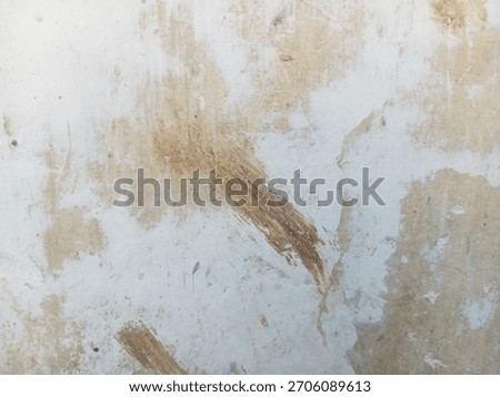 An abstract image of a pale wall with multiple irregular splotches of brown discoloration and rough brush marks.